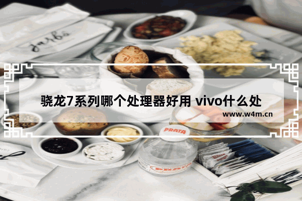 骁龙7系列哪个处理器好用 vivo什么处理器最好