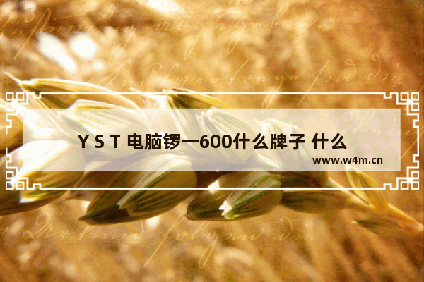 Y S T 电脑锣一600什么牌子 什么叫做电脑锣加工