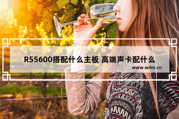 R55600搭配什么主板 高端声卡配什么主板电脑