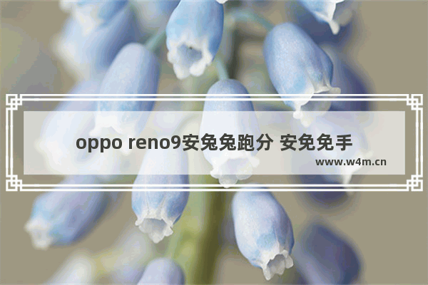 oppo reno9安兔兔跑分 安免免手机cpu跑分