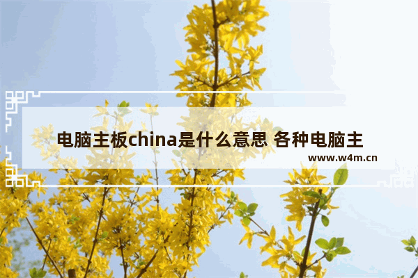 电脑主板china是什么意思 各种电脑主板英文翻译