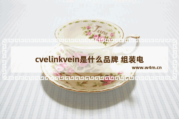 cvelinkvein是什么品牌 组装电脑零件品牌选择