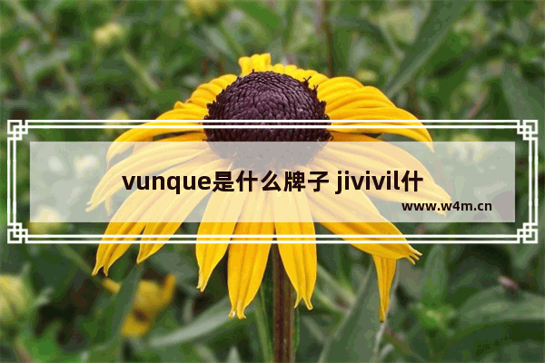 vunque是什么牌子 jivivil什么档次