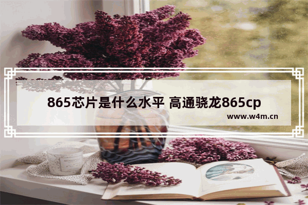 865芯片是什么水平 高通骁龙865cpu性能