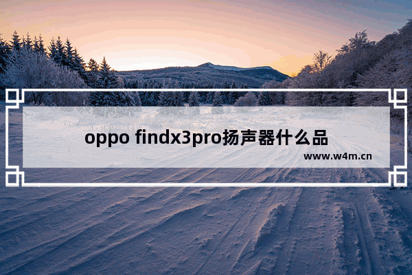 oppo findx3pro扬声器什么品牌 电脑哪个品牌是双扬声器