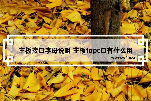 主板接口字母说明 主板topc口有什么用