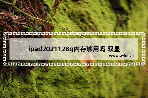 ipad2021128g内存够用吗 双显示器内存