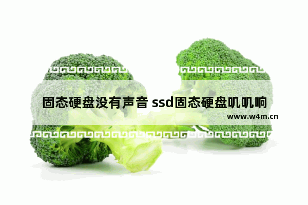 固态硬盘没有声音 ssd固态硬盘叽叽响