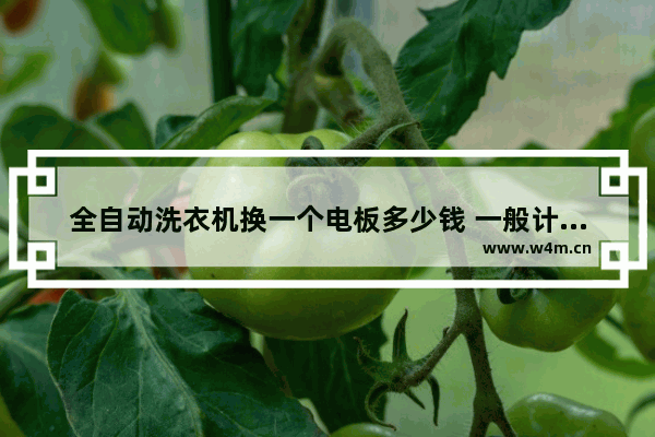 全自动洗衣机换一个电板多少钱 一般计算器用的电池是什么规格或型号的 谢谢大家