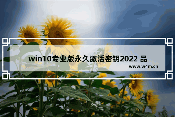 win10专业版永久激活密钥2022 品牌电脑正版系统的激活码