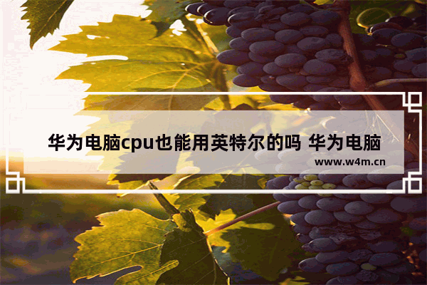 华为电脑cpu也能用英特尔的吗 华为电脑用什么cpu