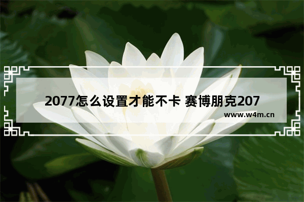 2077怎么设置才能不卡 赛博朋克2077cpu占用率高