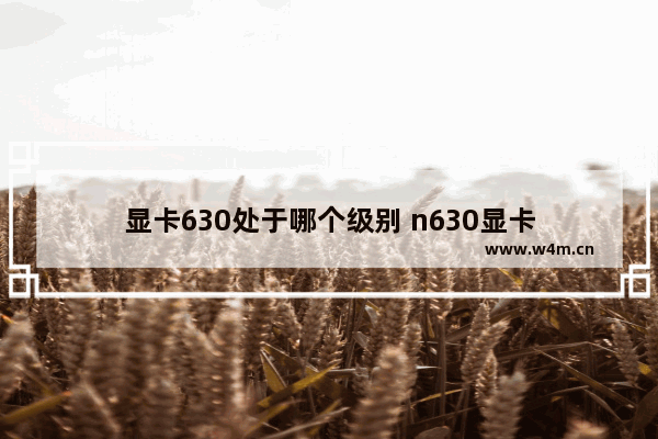 显卡630处于哪个级别 n630显卡