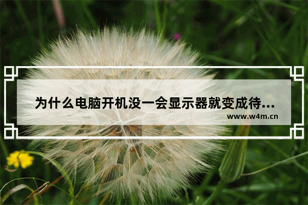 为什么电脑开机没一会显示器就变成待机状态了 我家的鱼缸显示屏不亮了 但是还能正常操作 是怎么回事 求帮助