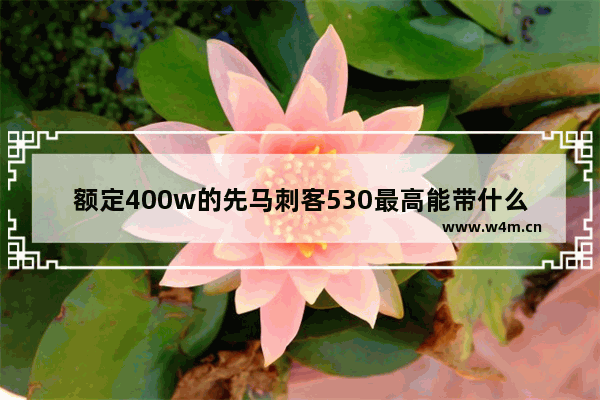 额定400w的先马刺客530最高能带什么显卡 单路电源显卡