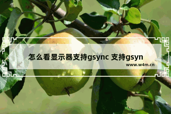 怎么看显示器支持gsync 支持gsync的显卡