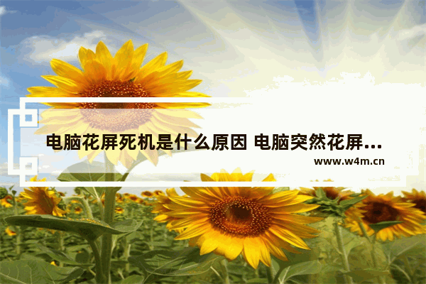 电脑花屏死机是什么原因 电脑突然花屏死机是什么原因重启后一切正常