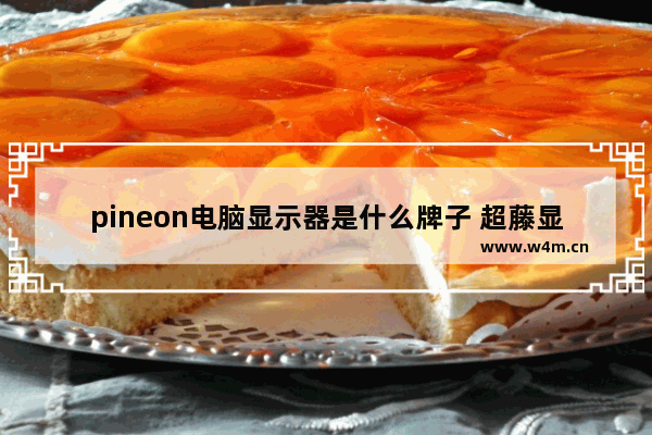 pineon电脑显示器是什么牌子 超藤显示器