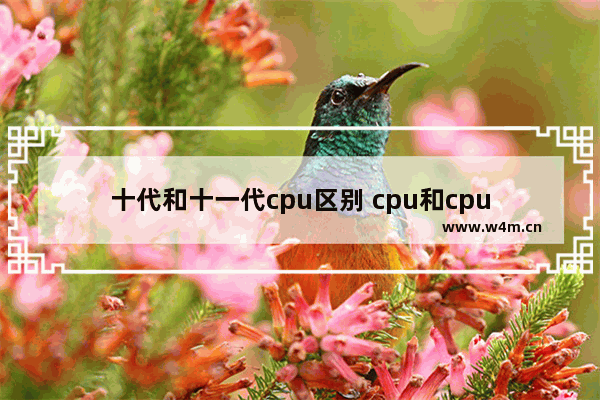 十代和十一代cpu区别 cpu和cpu