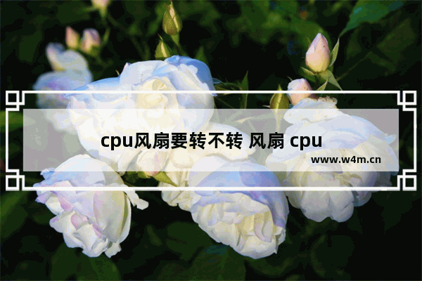 cpu风扇要转不转 风扇 cpu