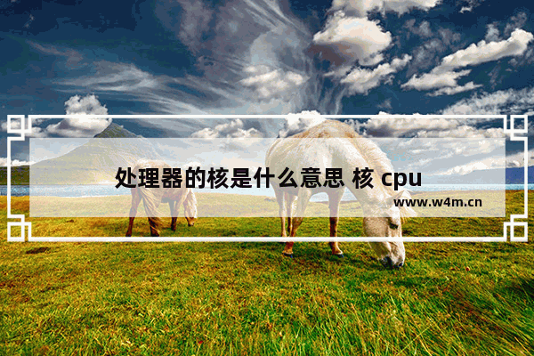 处理器的核是什么意思 核 cpu