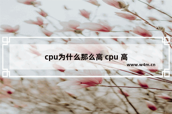 cpu为什么那么高 cpu 高