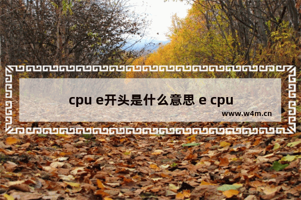 cpu e开头是什么意思 e cpu