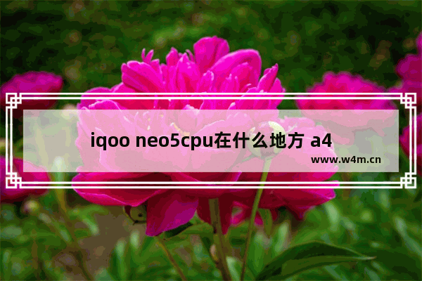 iqoo neo5cpu在什么地方 a4-5000相当于英特尔哪款cpu