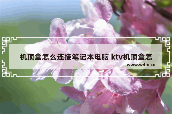 机顶盒怎么连接笔记本电脑 ktv机顶盒怎样和电脑连接