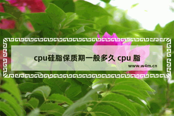 cpu硅脂保质期一般多久 cpu 脂