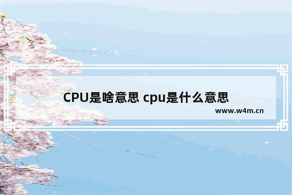 CPU是啥意思 cpu是什么意思