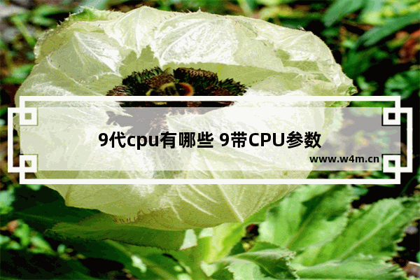 9代cpu有哪些 9带CPU参数