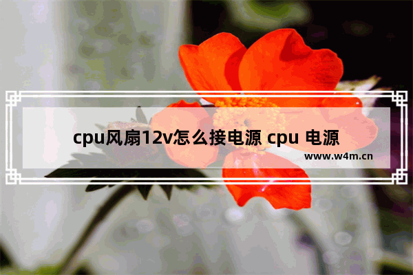 cpu风扇12v怎么接电源 cpu 电源