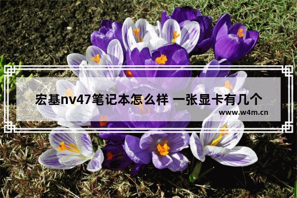 宏基nv47笔记本怎么样 一张显卡有几个芯片