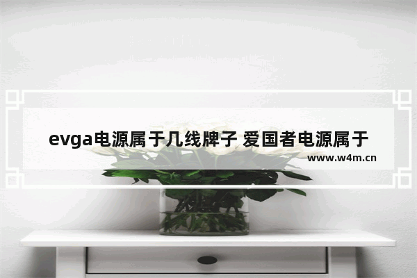 evga电源属于几线牌子 爱国者电源属于几线品牌