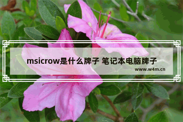 msicrow是什么牌子 笔记本电脑牌子鞋推荐