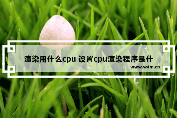 渲染用什么cpu 设置cpu渲染程序是什么