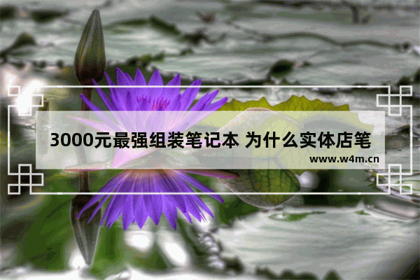 3000元最强组装笔记本 为什么实体店笔记本电脑比网上配置低