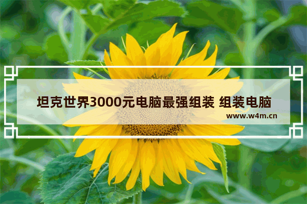 坦克世界3000元电脑最强组装 组装电脑非要一个机械硬盘一个固态硬盘吗