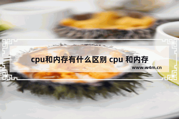 cpu和内存有什么区别 cpu 和内存