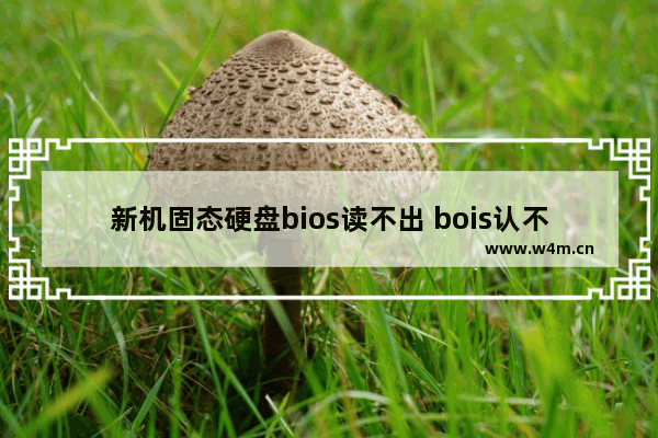 新机固态硬盘bios读不出 bois认不出固态硬盘