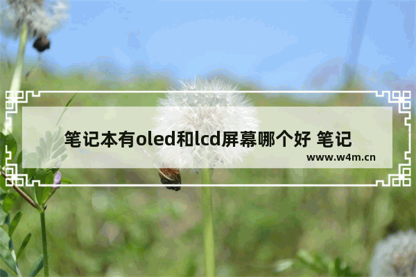 笔记本有oled和lcd屏幕哪个好 笔记本电脑屏幕最好的