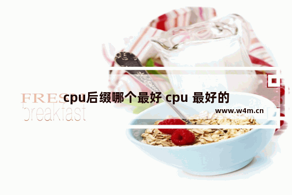 cpu后缀哪个最好 cpu 最好的