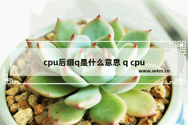 cpu后缀q是什么意思 q cpu