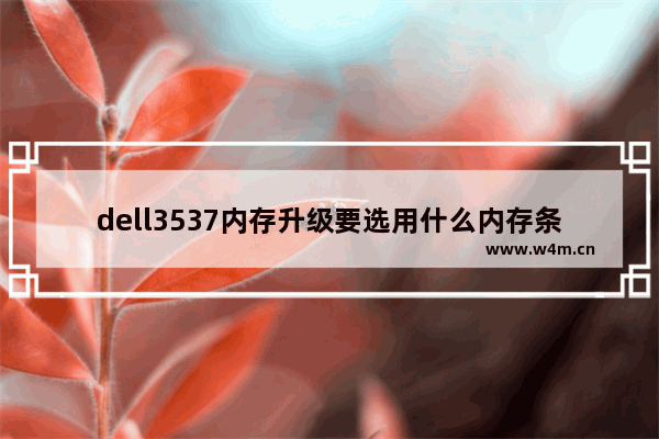 dell3537内存升级要选用什么内存条 戴尔15R3537加装内存条 拧开了后盖两个螺丝 但是拆不开后盖 很紧。有大神知道吗