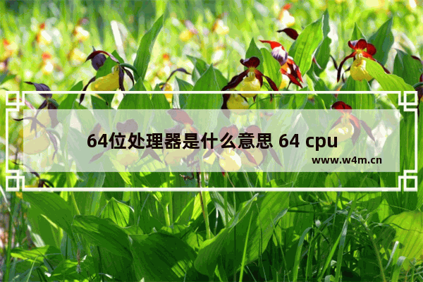 64位处理器是什么意思 64 cpu