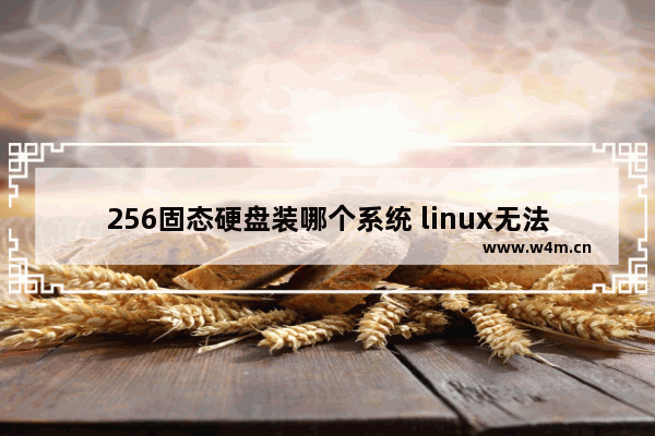 256固态硬盘装哪个系统 linux无法识别固态硬盘