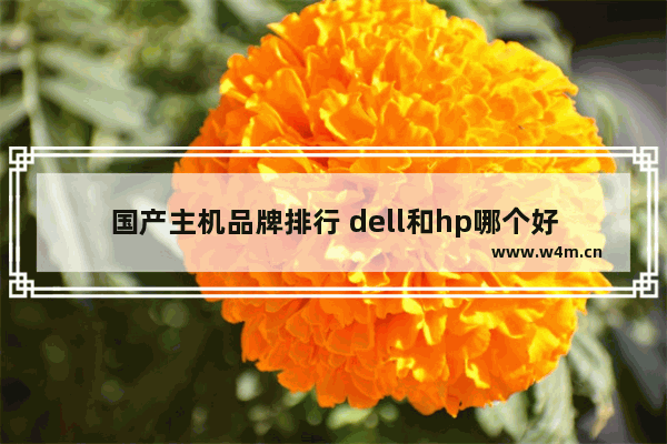 国产主机品牌排行 dell和hp哪个好