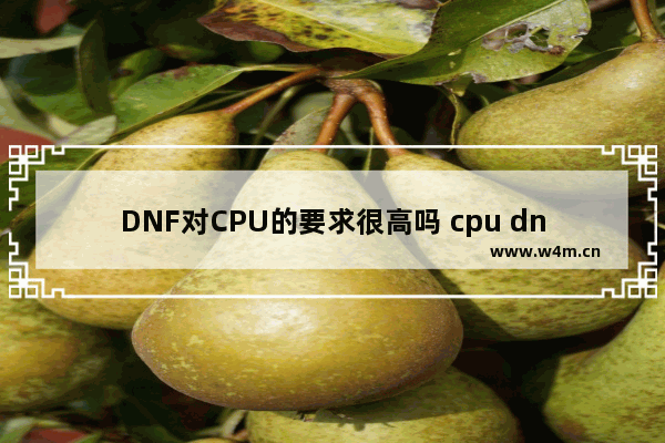 DNF对CPU的要求很高吗 cpu dnf