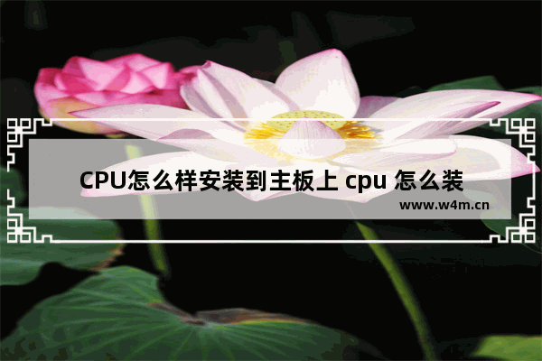 CPU怎么样安装到主板上 cpu 怎么装